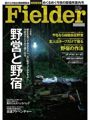 cover image of Fielder, Volume17